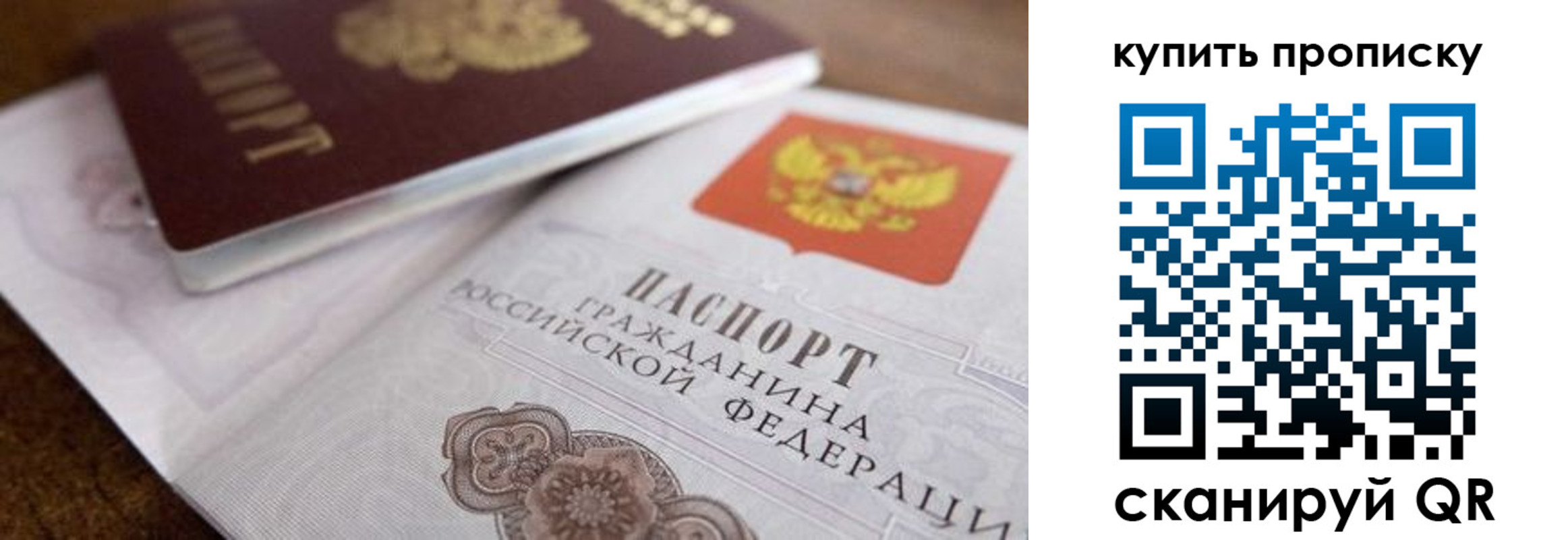 прописка гарантия в Обояни